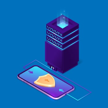 Black box pentesting